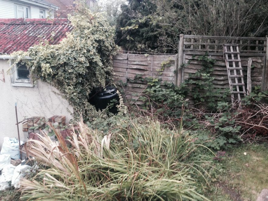 Garden Clearance - South Oxhey, Hertfordshire