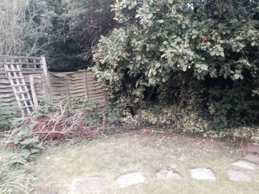 Garden Clearance - South Oxhey, Hertfordshire